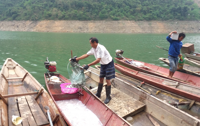 Người d&acirc;n mưu sinh tr&ecirc;n l&ograve;ng hồ thủy điện.