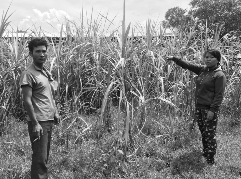 Anh Khiết b&ecirc;n vườn m&iacute;a đang bị nhăm nhe thu hồi.