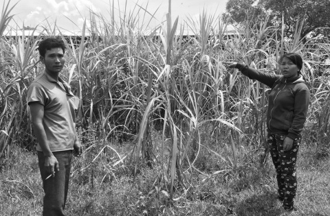 Khánh Hòa: Người dân khốn khổ vì mất đất canh tác mà chưa được đền bù thỏa đáng