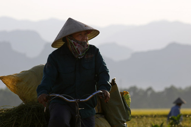 Một n&ocirc;ng d&acirc;n b&ecirc;n c&aacute;nh đồng vừa được gặt xong.