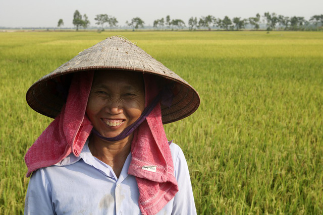 Chị l&agrave; Dương Thị Lương, cả gia đ&igrave;nh c&oacute; 8 khẩu được chia 5 s&agrave;o ruộng. Chị cho biết năm nay l&uacute;a tốt, sản lượng c&oacute; thể đạt từ 2,5 tạ đến gần 3 tạ mỗi s&agrave;o.