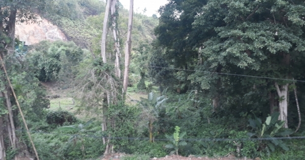 Lâm Đồng: Ra quyết định xử phạt hành chính từ biên bản “ma”?