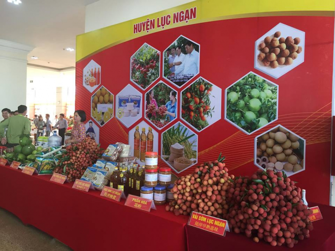 V&agrave;i sớm Lục Ngạn c&ugrave;ng nhiều mặt h&agrave;ng n&ocirc;ng sản kh&aacute;c.