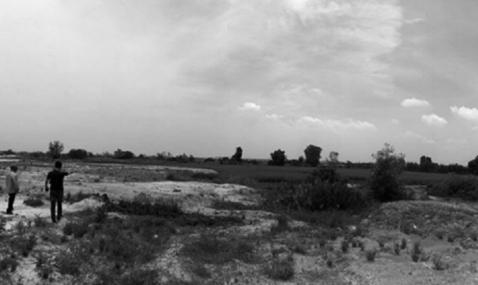 Ruộng l&uacute;a của một n&ocirc;ng d&acirc;n đang &ldquo;cấy trộm&rdquo;.