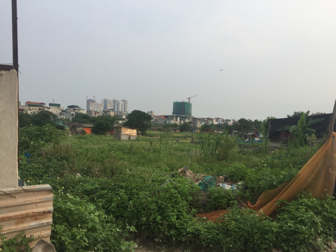 C&acirc;y cỏ mọc xung quanh khu đất dự &aacute;n được x&acirc;y dựng.&nbsp;Ảnh: Minh Chiến&nbsp;&nbsp;