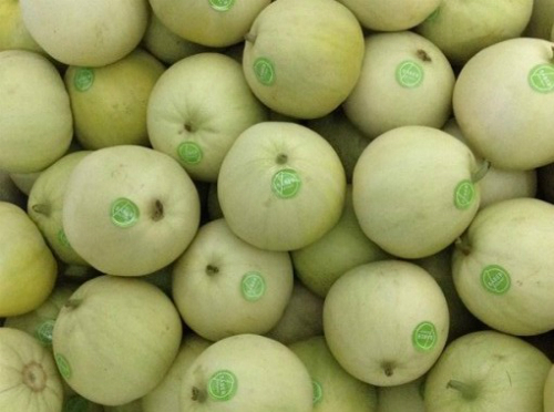 Dưa l&ecirc; Trung Quốc thường c&oacute; mẫu m&atilde; bắt mắt hơn h&agrave;ng Việt.