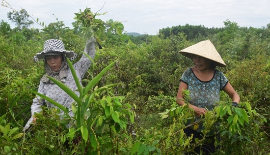 Nét độc đáo Tết Đoan Ngọ của người dân xứ Huế