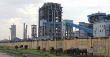 Đạm Ninh Bình lại bị điểm tên vì "phóng tay" chi cho các nhà phân phối