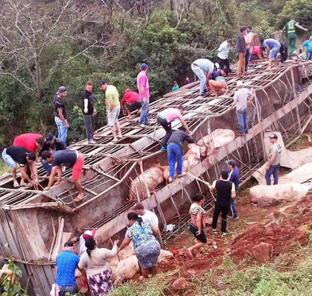 Chuy&ecirc;́n xe đi từ Uberl&acirc;ndia đ&ecirc;́n Chapec&oacute; ở Paran&aacute;, phía nam Brazil.