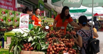 “Nụ cười” từ vựa vải Bắc Giang