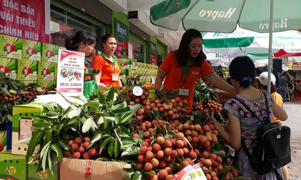 Vải thiều Lục Ngạn đ&atilde; c&oacute; mặt tại c&aacute;c si&ecirc;u thị lớn