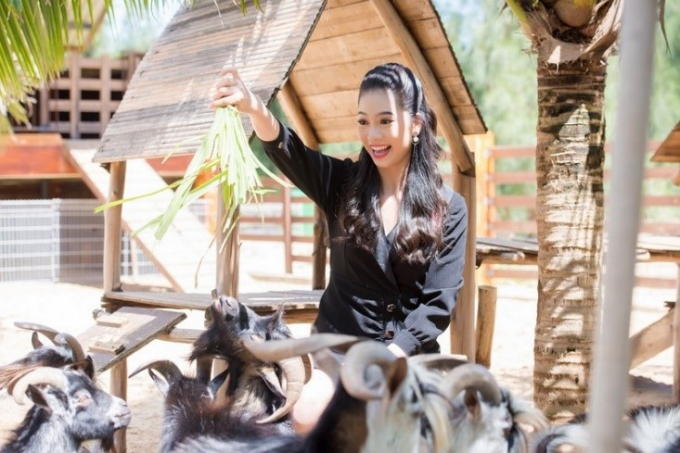 Trải nghiệm thu h&uacute;t nhất tại FLC Zoo Safari Park&nbsp;