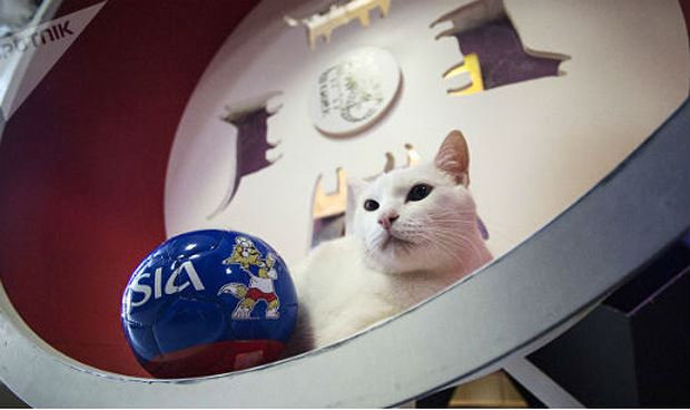 Ch&uacute; m&egrave;o ti&ecirc;n tri Hermitage.