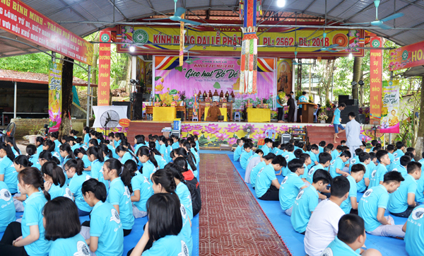 &nbsp;                    &nbsp;