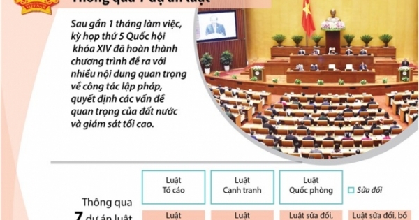 7 Luật mới được thông qua là những Luật nào?