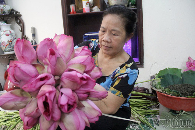 Để l&agrave;m được 1kg tr&agrave; sen nghệ nh&acirc;n cần 1.000-1.200 b&ocirc;ng sen