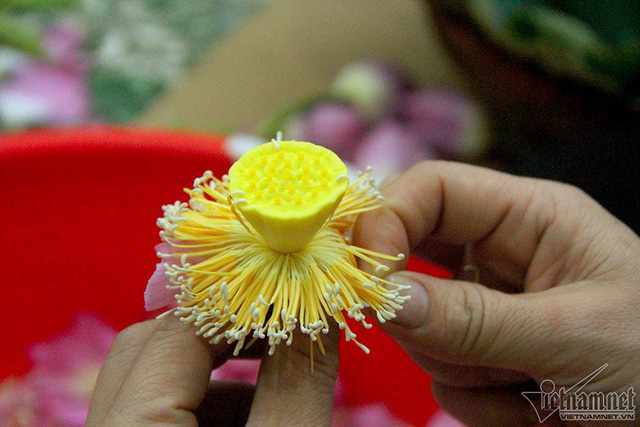 Sen được t&aacute;ch lấy gạo để ướp tr&agrave;