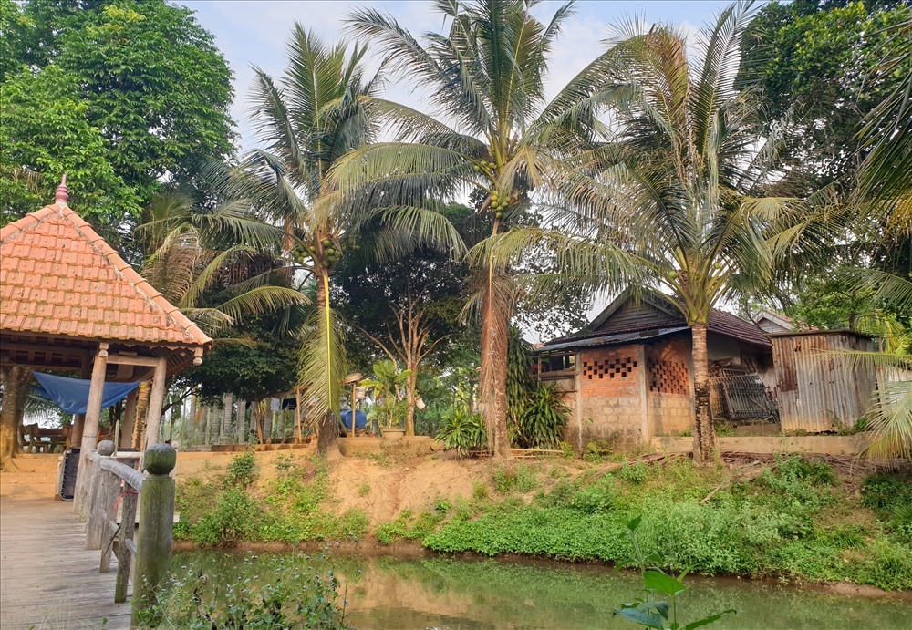 Trang trại của ông Nguyễn Hồng Thái trên đất rừng. Ảnh: Hưng Thơ.