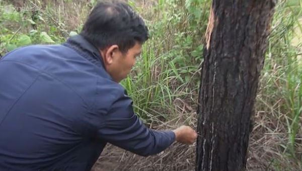 Chung tay ngăn chặn cái ác