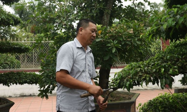 Lão nông trở thành tỷ phú nhờ chăm cây