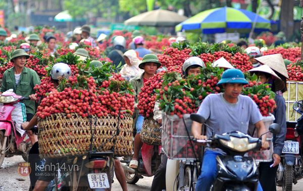 Vải thiều Lục Ngạn ra mắt người tiêu dùng Thủ đô lần thứ 4