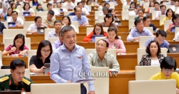 Đại biểu Quốc hội đề nghị Hà Nội nghiên cứu dừng chặt 2.000 cây xanh