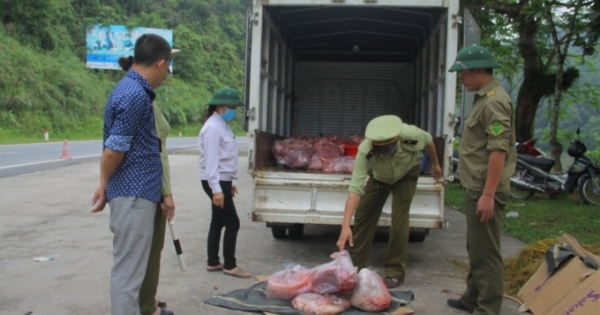 Hà Giang: Tiêu hủy hơn nửa tấn thịt lợn được vận chuyển từ vùng dịch tả lợn châu Phi