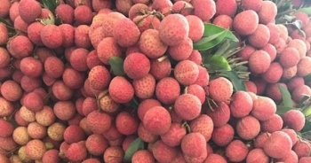 Thúc đẩy tiêu thụ sản phẩm nhãn, vải