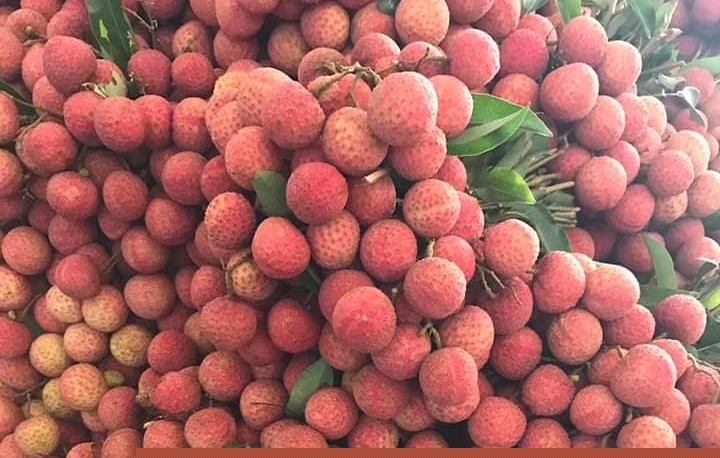 Thúc đẩy tiêu thụ sản phẩm nhãn, vải