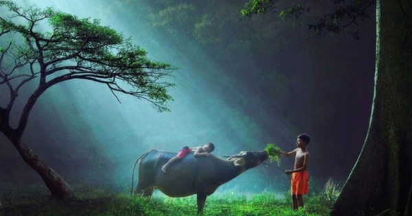 Cho tôi xin một vé đi tuổi thơ!