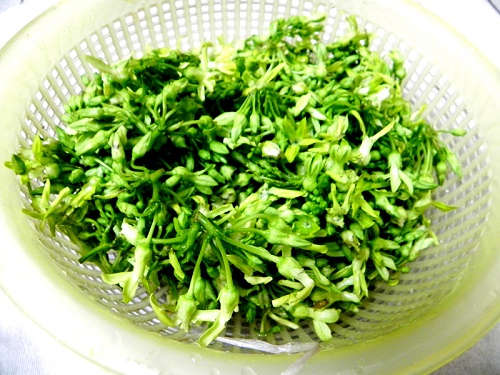 canh-hoa-thien-ly-nau-tom-04