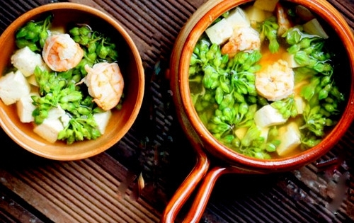 Canh bông thiên lý nấu tôm lạ miệng mà cực ngon ngày nắng nóng