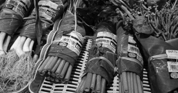 Túi nilon đang “tàn phá” ngôi nhà chung trái đất như thế nào?