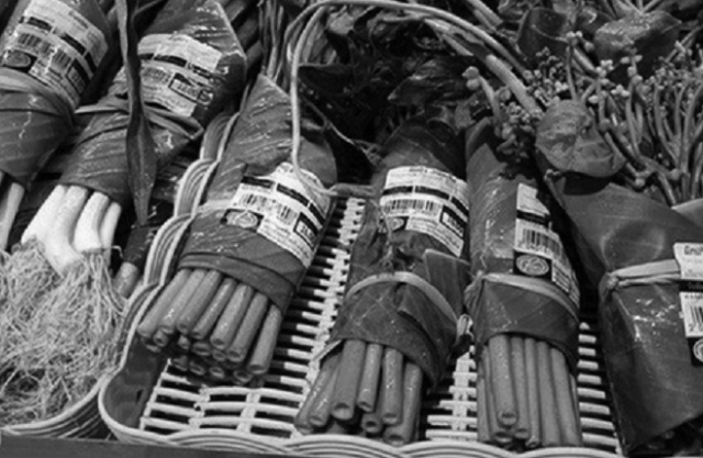 Túi nilon đang “tàn phá” ngôi nhà chung trái đất như thế nào?