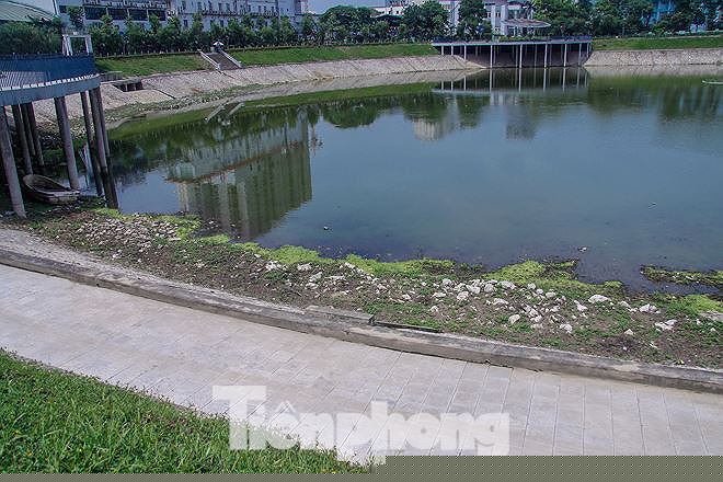 Sau khi báo Tiền Phong phản ánh, Công viên Thanh Xuân đã được xử lý làm sạch bè tấm và cỏ dại mọc ở những vị trí cạn nước ở lòng hồ điều hòa.