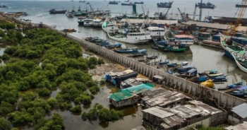 Jakarta đang chìm dần xuống nước