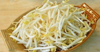 Những người nào phải tuyệt đối không ăn giá đỗ vì cực độc