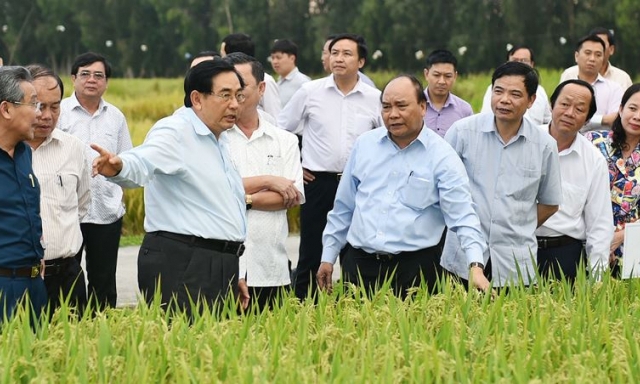 Hội nghị Chính phủ về phát triển bền vững ĐBSCL