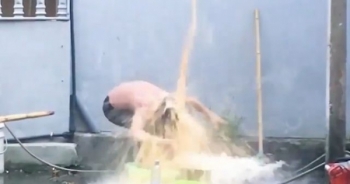 Youtuber đổ 200 quả trứng sống lên đầu mẹ để "câu view"