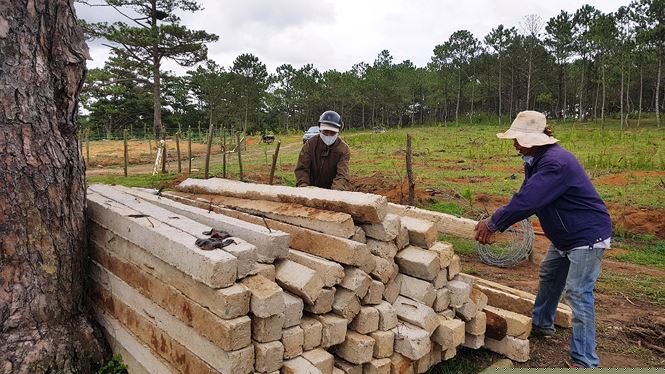 Thu hồi cột bê tông dùng là trụ rào để bao chiếm đất rừng.