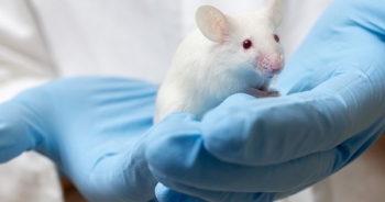 Phát hiện ra loại enzyme giúp kéo dài sự sống