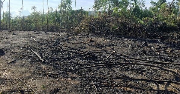 Ông lão 88 tuổi chết cháy khi đốt rẫy