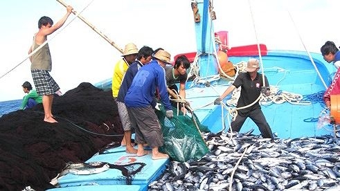 Chống khai thác thủy hải sản bất hợp pháp (IUU): Phải làm quyết liệt để tạo sự chuyển biến