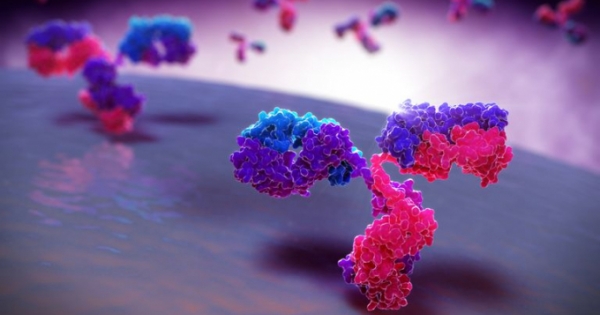 Các nhà nghiên cứu đã tìm thấy loại protein giúp ngăn ngừa, đẩy lùi bệnh tiểu đường