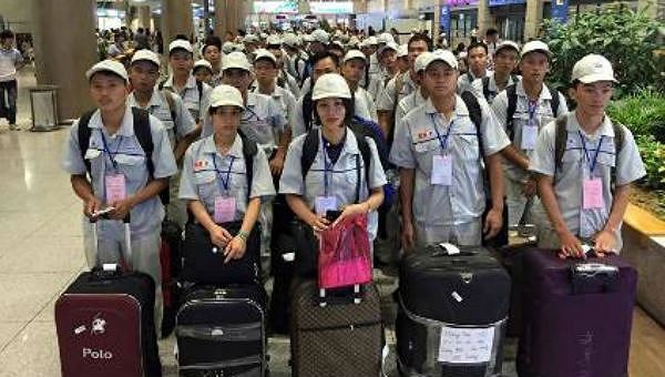 6 th&aacute;ng đầu năm, hơn 65.000 người dự kiến đi l&agrave;m việc ở nước ngo&agrave;i