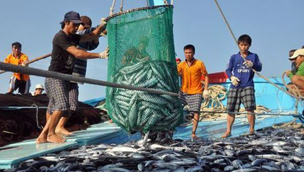 Nghề nghiệp và luật pháp