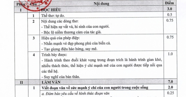 Bộ GD-ĐT công bố đáp án chính thức môn thi Ngữ Văn THPT quốc gia năm 2019