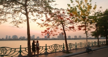 Phượng khoe sắc đỏ, Hà Nội bỗng đẹp như tranh vẽ