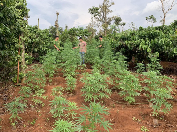 f9e7ccd9859a6cc4358b