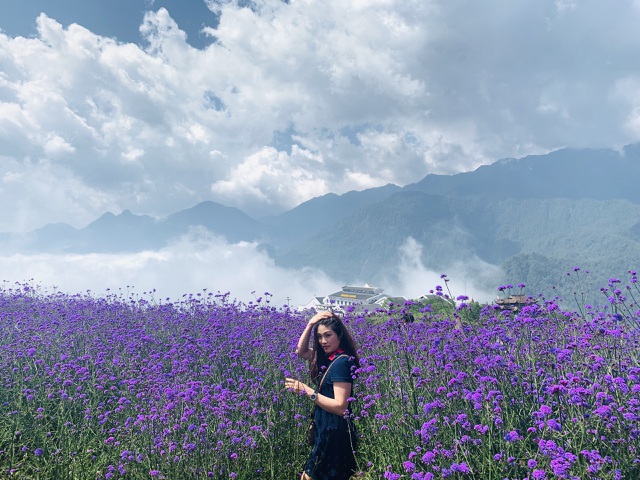 M&atilde; tiền thảo ưa kh&iacute; hậu m&aacute;t mẻ n&ecirc;n th&iacute;ch nghi, ph&aacute;t triển tốt khi được trồng ở Sa Pa. 